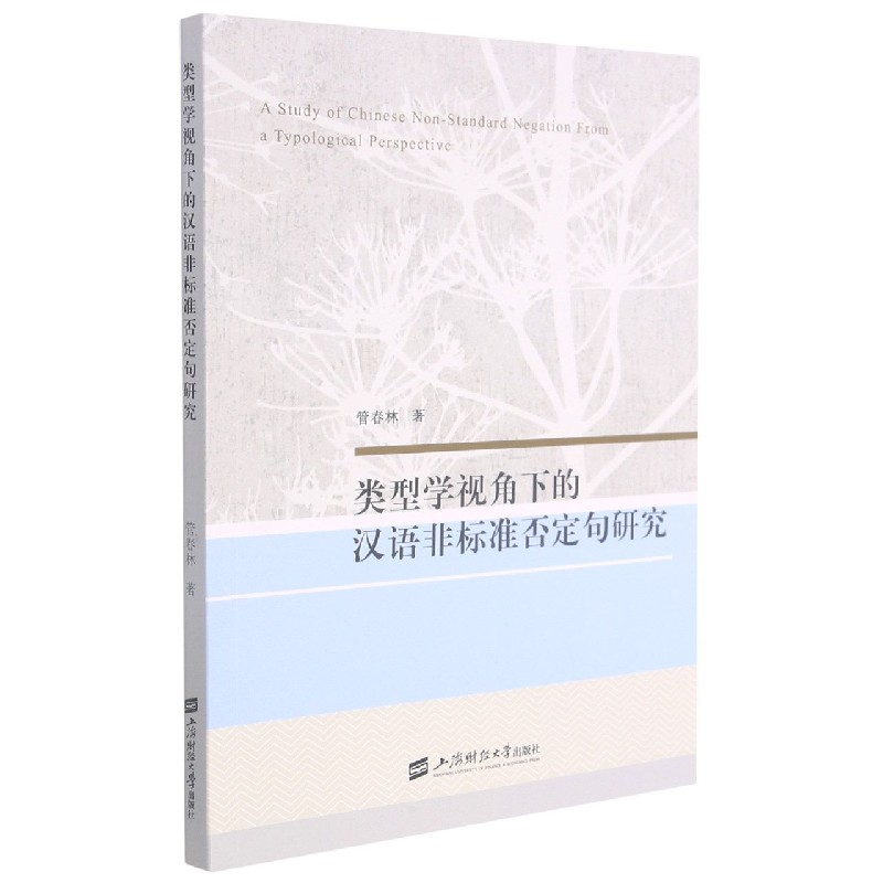 类型学视角下的汉语非标准否定句研究