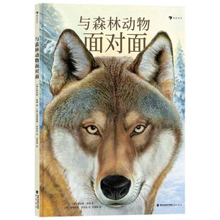 与森林动物面对面 著   者：[德] 霍尔格·哈格                      绘  者：[德] 曼弗雷德·罗贝克译   者：洪堃绿