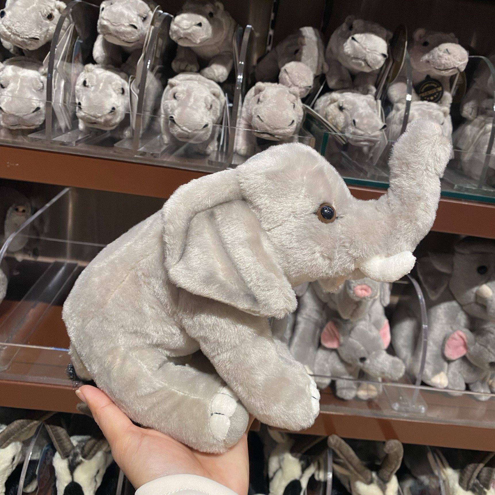 珠海广州长隆旅游纪念品海洋馆仿真大象毛绒玩具小号玩偶布娃娃,模玩/动漫/周边/娃圈三坑/桌游,动漫毛绒/抱枕/坐垫,淘宝优惠券,粉丝福利购,淘宝优惠卷