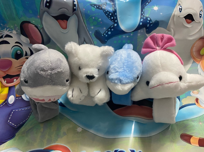 同款海洋纪念品北极熊海豚鲨鱼公仔儿童绑手臂手环毛绒玩具