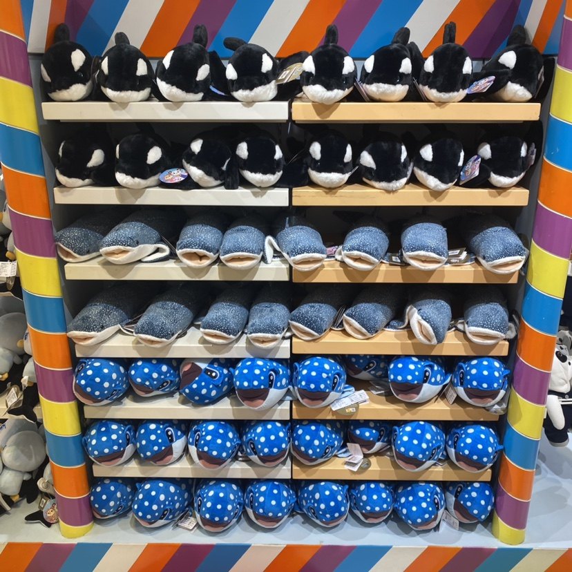 珠海长隆旅游纪念品仿真鲸鲨虎鲸毛绒公仔儿童玩具布娃娃礼物手信