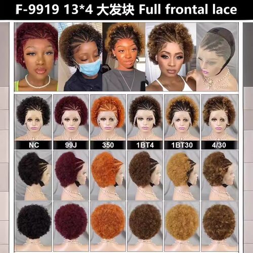 跨境F-9919 13x4 lace wig braid Afro human hair peruvian hair