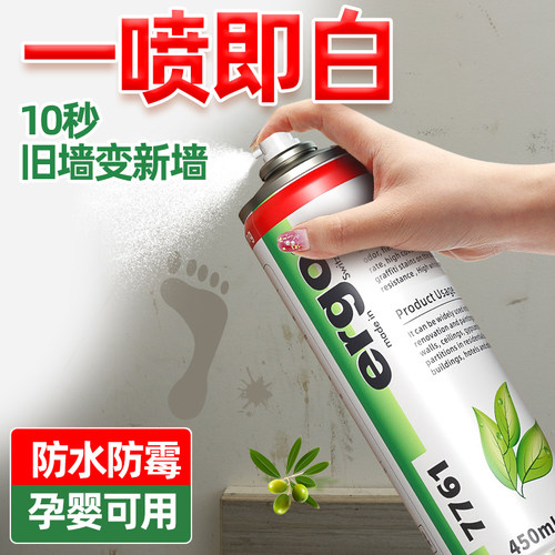 瑞士品牌白色墙面自喷乳胶漆