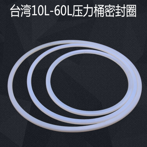 蓝牌60压力桶铁氟龙防腐蚀密封圈