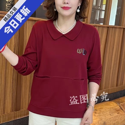 秋季新款时尚洋气翻领卫衣