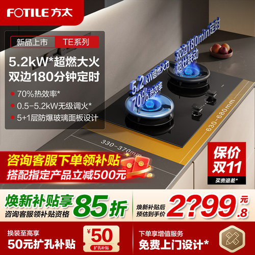 方太TE21双边定时燃气灶