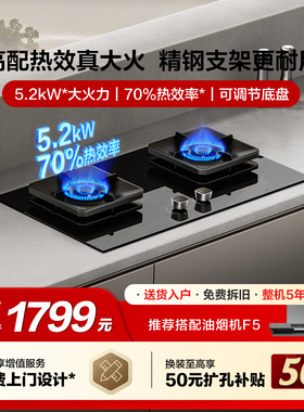 [新品]方太TF29B燃气灶煤气灶家用双灶台天然气液化气官方旗舰店