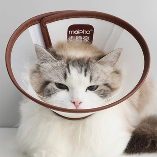 伊丽莎白圈猫咪幼猫绝育项圈脖圈防咬舔耻辱圈狗狗头套罩宠物用品