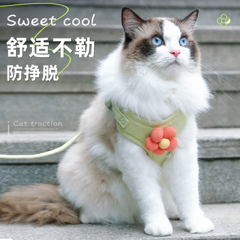 猫咪牵引绳防挣脱外出专用背心式
