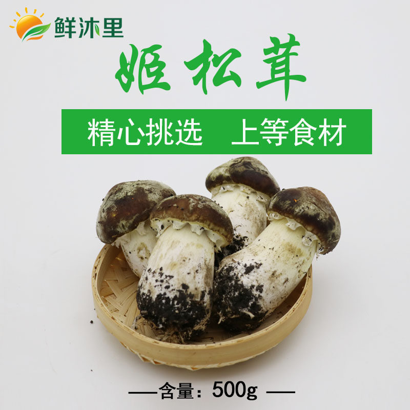 球盖菇 云南新鲜姬松茸 巴西菇鲜菌 蘑菇 500g 江浙沪5斤顺丰包邮