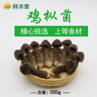 新鲜黑皮鸡枞菌 长根菇新鲜鸡枞菌500g云南特产菌菇江浙沪5斤包邮
