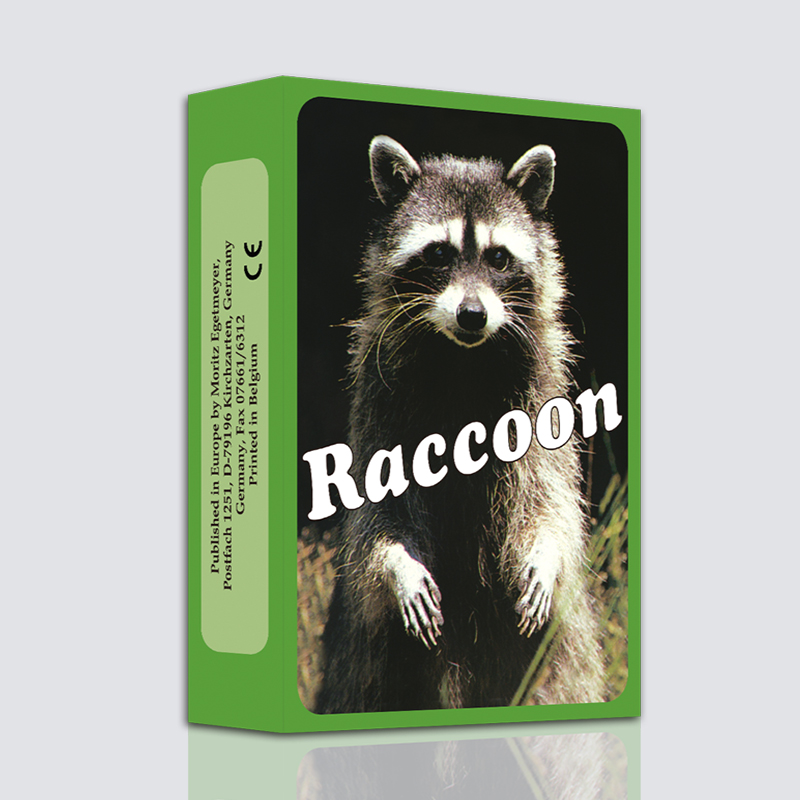 Raccoon-浣熊卡欧卡心理学潜意识投射卡oh卡牌