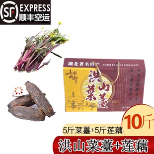 5斤洪山菜苔+5斤泥巴野藕 礼盒套装 湖北年货特产 现摘新鲜蔬菜
