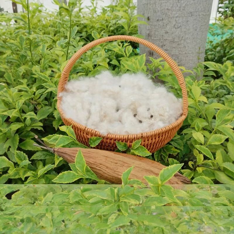 正宗天然有籽木棉花护颈枕头海南枕头/枕芯