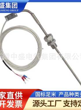 炉壁热电阻WREK-191M 0-600℃ L=3000*3000