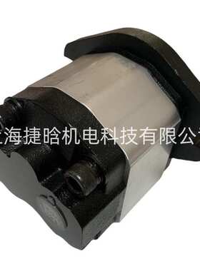 BODEN齿轮泵 BHP2-A0-D-4-C0-LC2-LJ2-H 博顿液压泵 小型动力泵