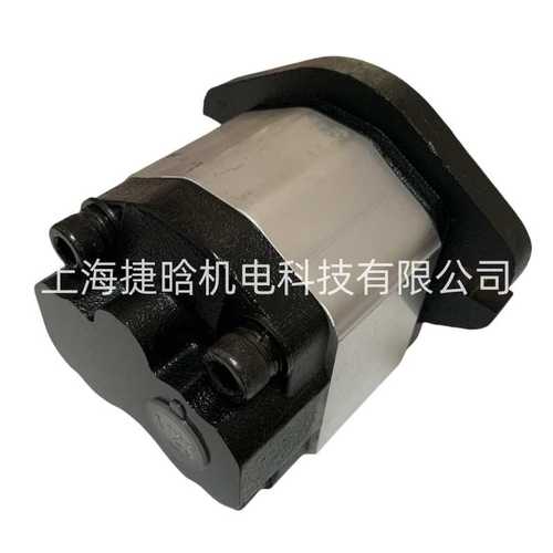 BODEN齿轮泵 BHP2-A0-D-4-C0-LC2-LJ2-H 博顿液压泵 小型动力泵