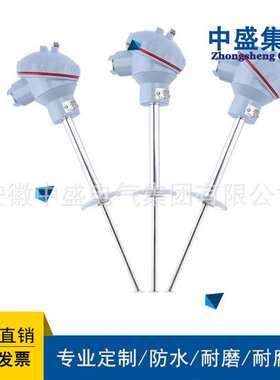 铠装热电阻温度变送器WZPKB-248 0-300℃ T=350直径8M20*1.5