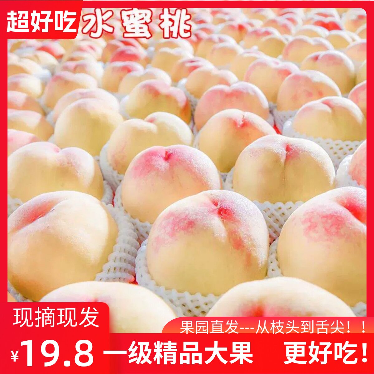 无锡白凤湖景软水蜜桃当季新鲜