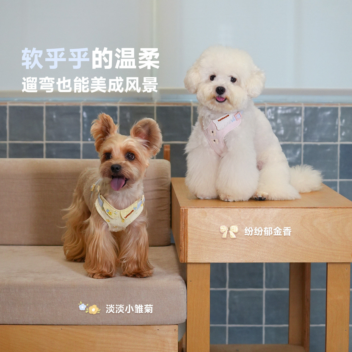它愿宠物狗狗胸背带小型犬背心