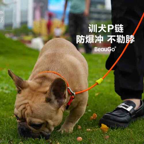 BeauGo专业训犬P链防爆冲不勒脖