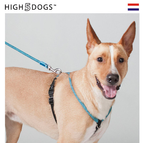 high5dogs宠物胸背牵引绳狗狗