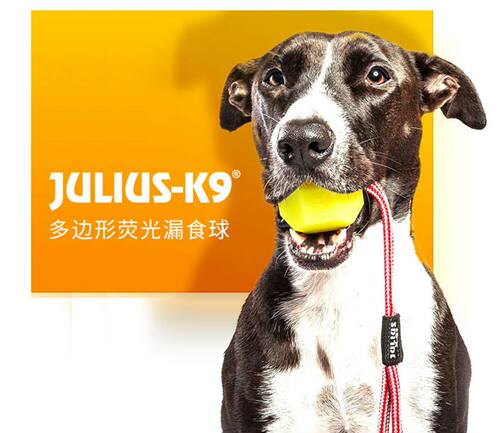 多边形橡胶漏食球耐咬结实耐用