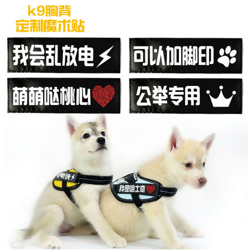 K9胸背贴个性化定制魔术贴名牌