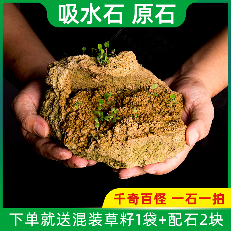 天然吸水石原石造景上水石