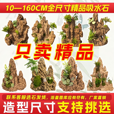 精品上水石吸水石盆景鱼池假山微景观装饰天然假山石头造景原石