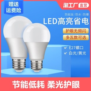 节能灯led灯泡e27螺口螺旋卡口家用超亮小球泡照明灯正品白光3W5W