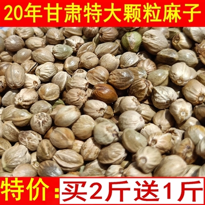 五香甘肃大粒500g麻子