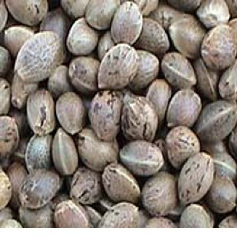 甘肃特产庆阳大麻子生麻子游子喜其它