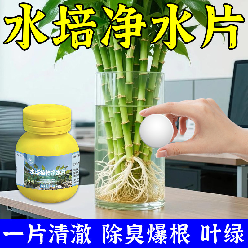净水免换】富贵竹净水片水培植物专用净水片去混净水质促根延花期,鲜花速递/花卉仿真/绿植园艺,介质/营养土,淘宝优惠券,粉丝福利购,淘宝优惠卷