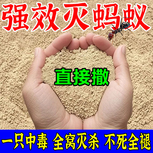 强效蚂蚁药家用全窝灭杀黑红白蚁