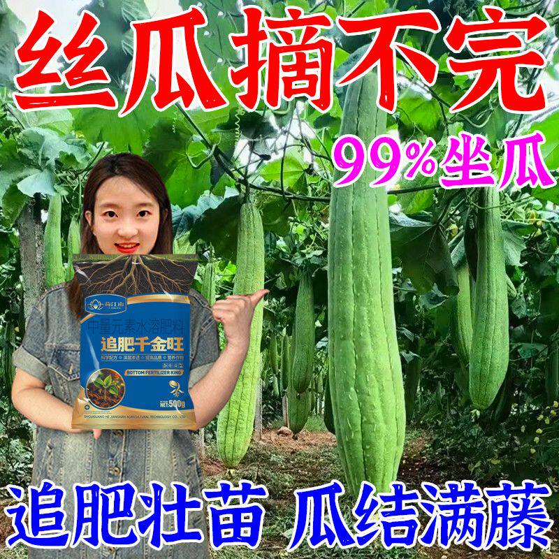 丝瓜追肥宝高产生根壮苗猛结瓜