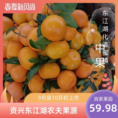 郴州东江湖新鲜甜柑橘现摘无核化渣砂糖橙蜜桔子热卖孕妇当季水果
