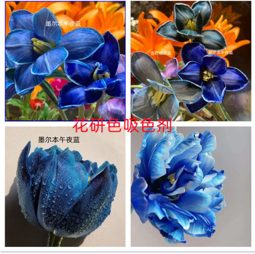 花研色鲜花染色剂不伤花颜色正