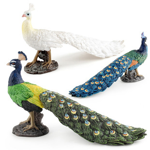 仿真野生鸟类飞禽动物孔雀模型蓝孔雀绿孔雀白孔雀装饰摆件
