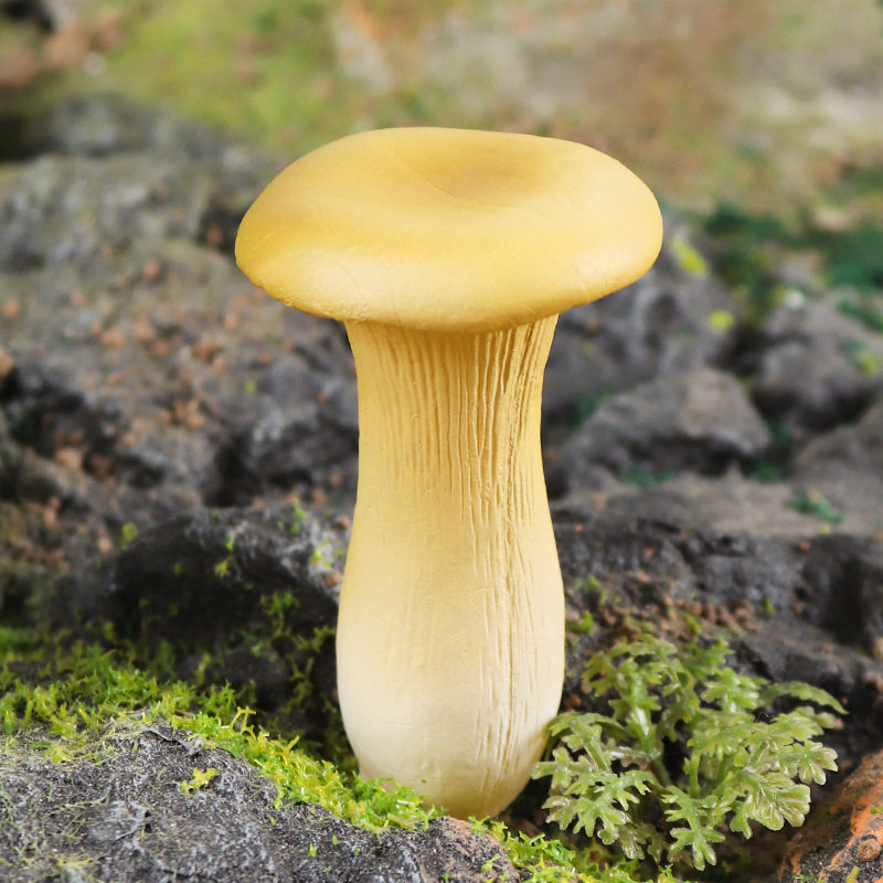 仿真假杏鲍菇菌类食物模型食品店厨房展示品装饰道具摆件场景拍摄