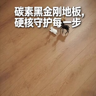 碳素黑金刚地板防烟烫防水家用客厅地板酒店民宿公寓卧室E0环保