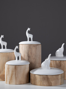 厨房样板间茶几储物罐装饰摆件