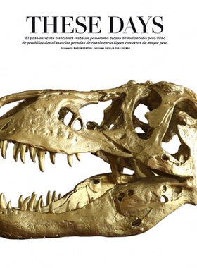 仿真恐龙金属模型样板房动物骨骼