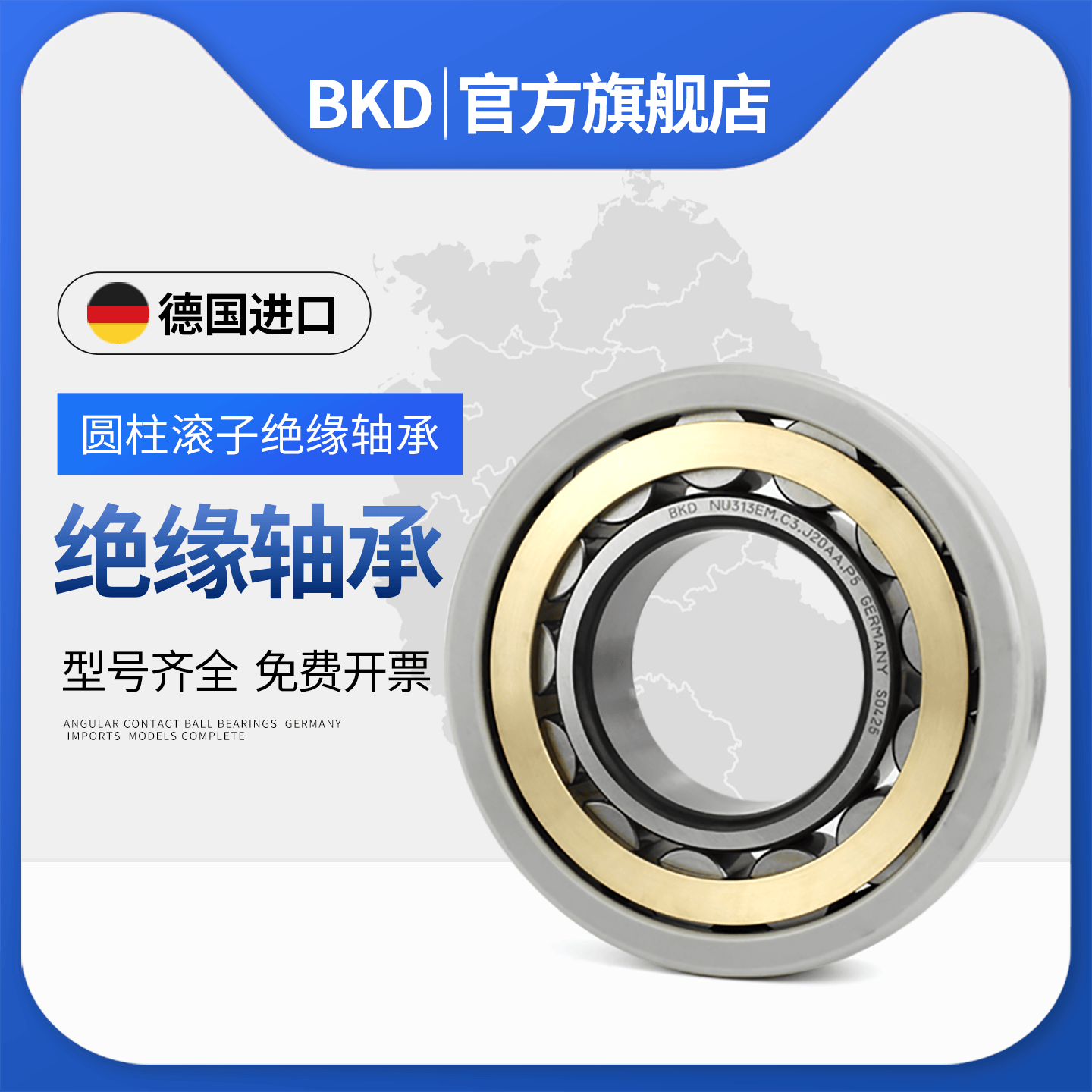 德国圆柱滚子进口轴承BKD