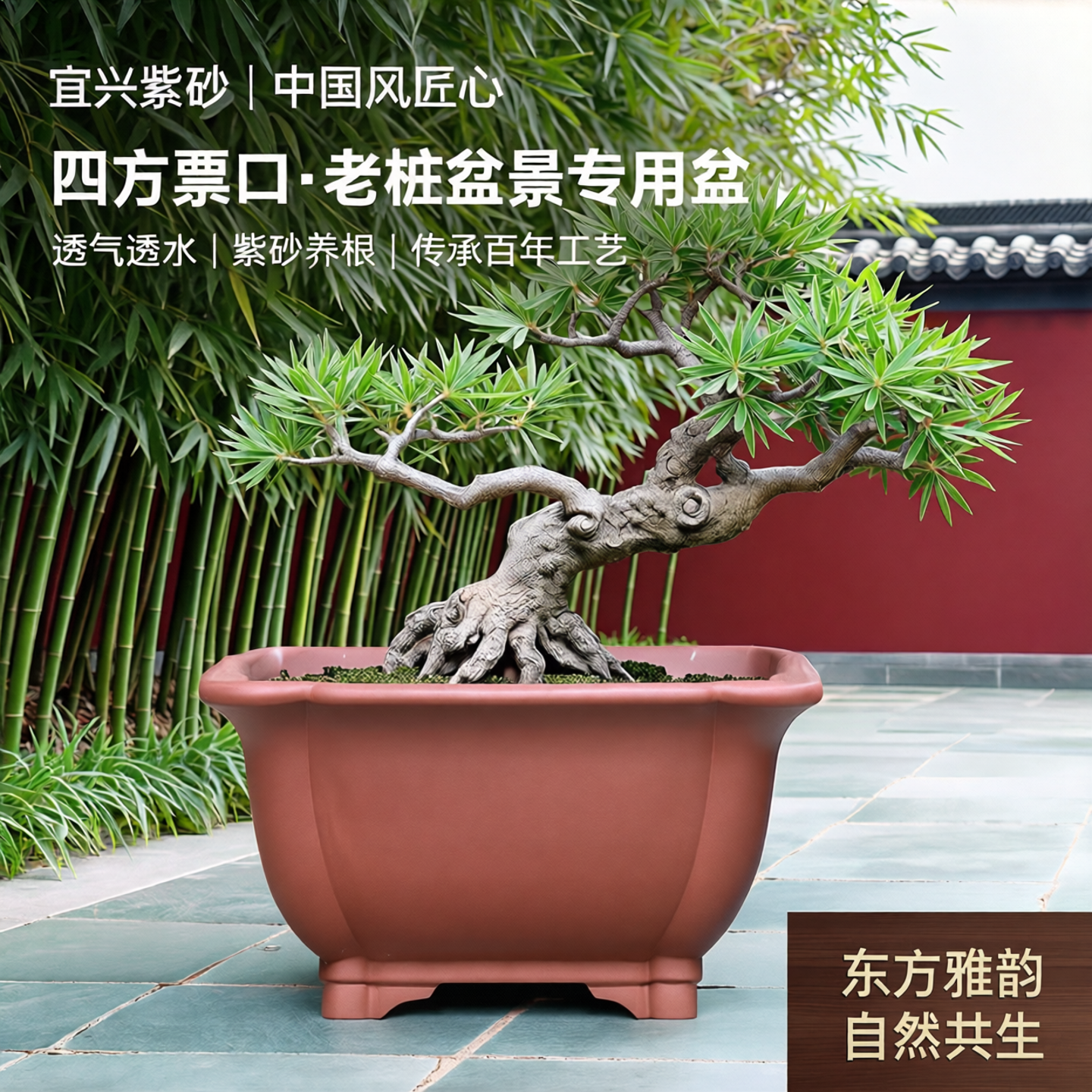 高端紫砂花盆好泥料好做工