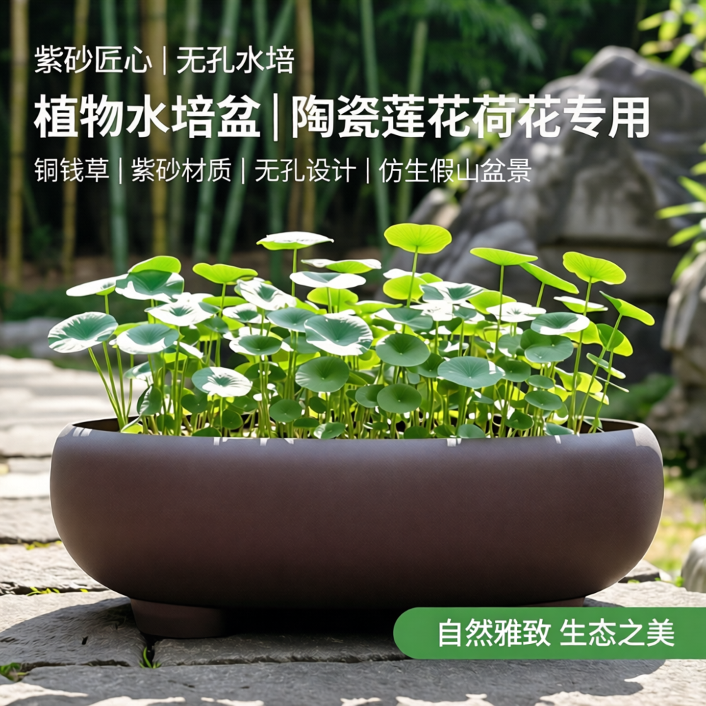 植物水培盆陶瓷莲花荷花盆缸盆无孔水底假山铜钱草专用紫砂花盆