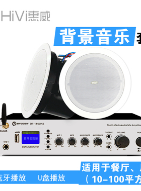 Hivi/惠威 TD206A惠威吸顶喇叭 天花喇叭 扬声器吊顶音响