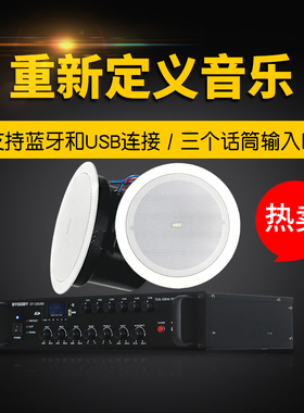 Hivi/惠威 TD206A吸顶天花喇叭6寸扬声器吊顶音响音乐DT-120USB