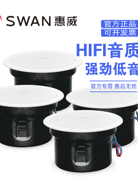 Hivi/惠威 TD206A吸顶喇叭套装AT40/AT60/AT80/AT120天花音响