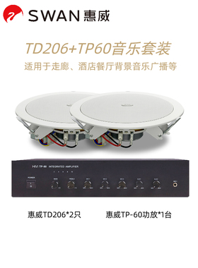 Hivi/惠威 TD206 TD205套装定压功放天花喇叭吸顶背景公共广播